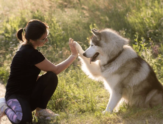 I don't need gloves high 5'in this dog!